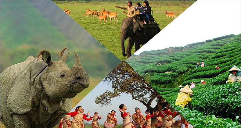Assam Destination